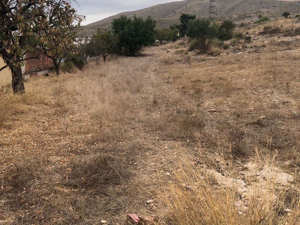 Landejendom i Pinoso, Alicante - foto 2